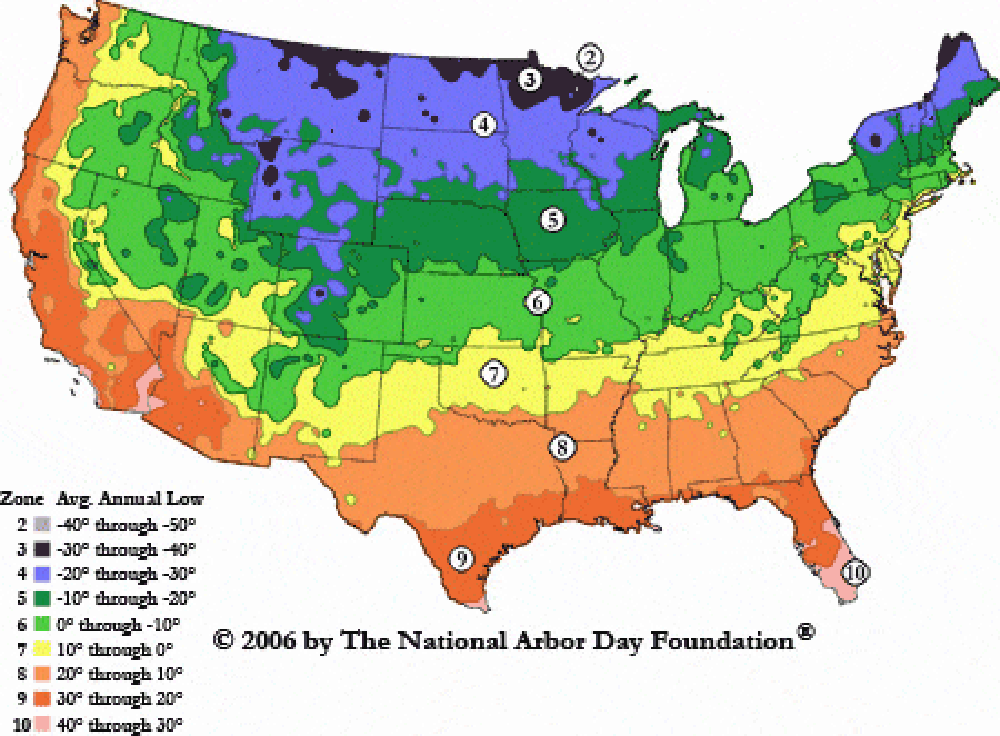 Love Alongside Beets.