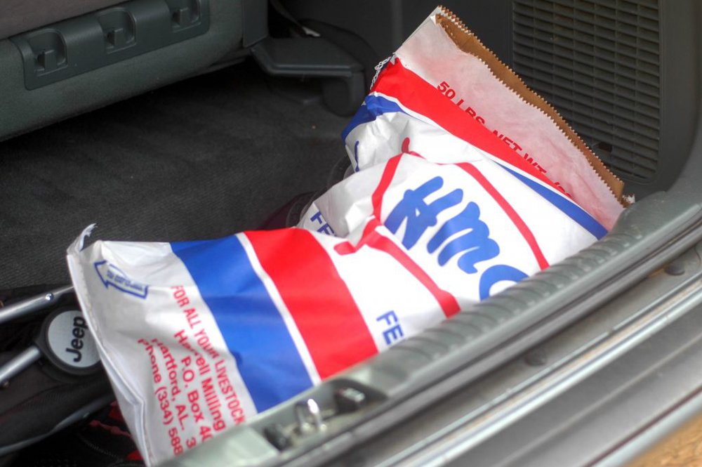 What are we going to feed the meat rabbits?