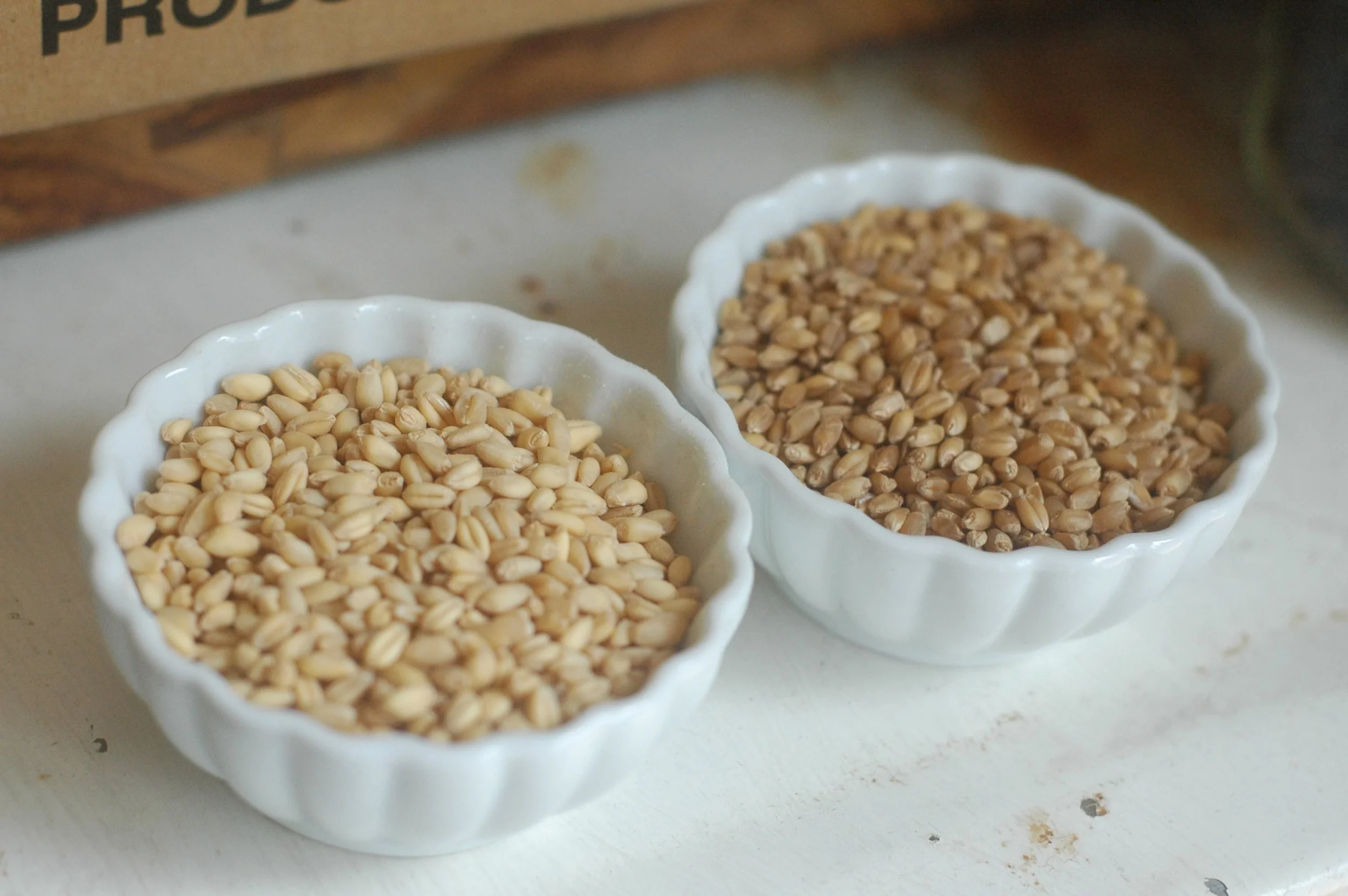 Freshly ground flour: tips and tricks!