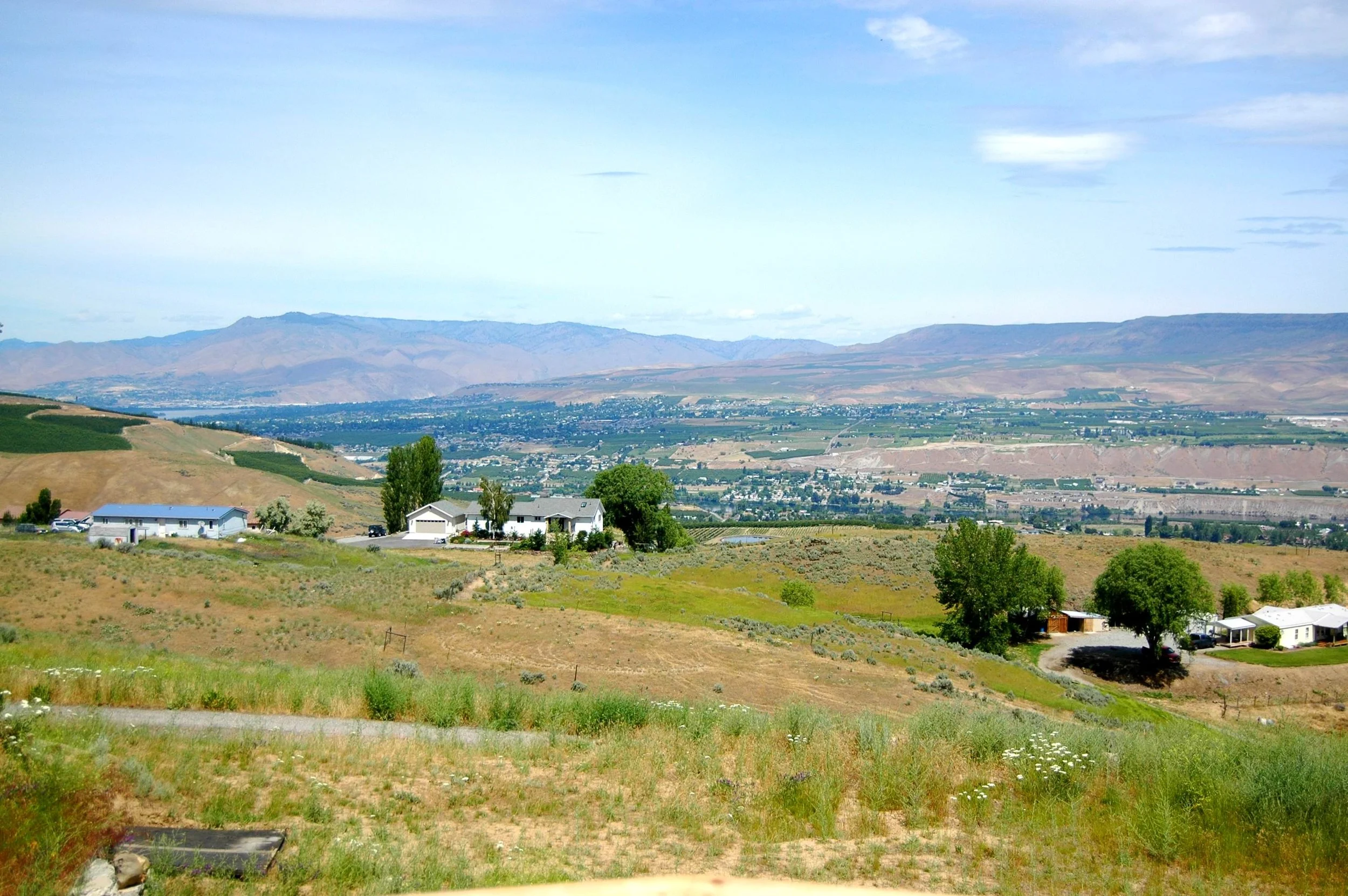 Want to see my house?!