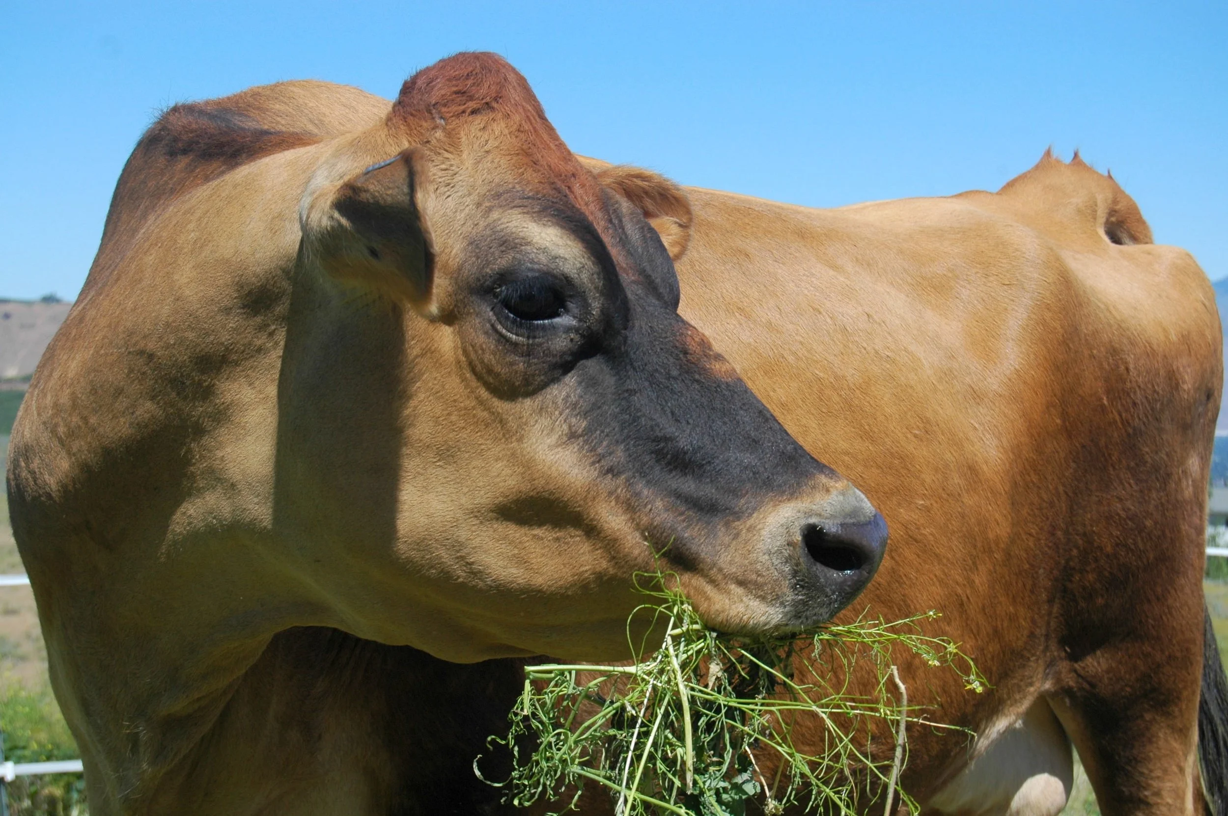 An unproductive list.