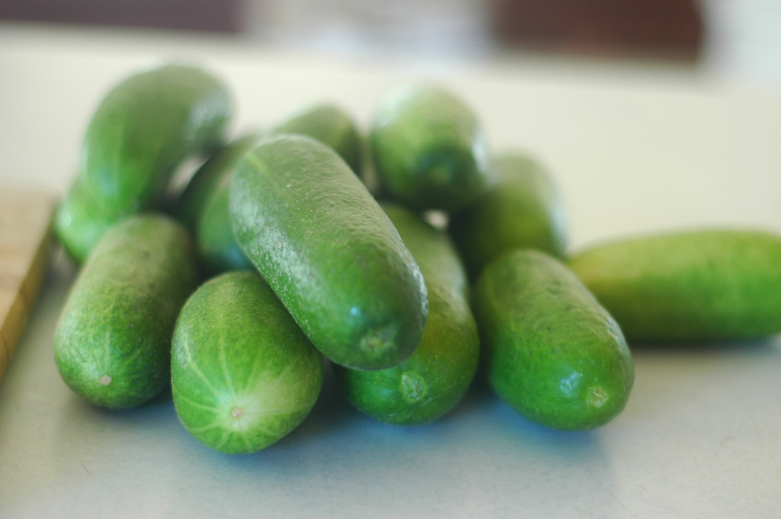 Fermented Pickles: Feed the Gut, Man!