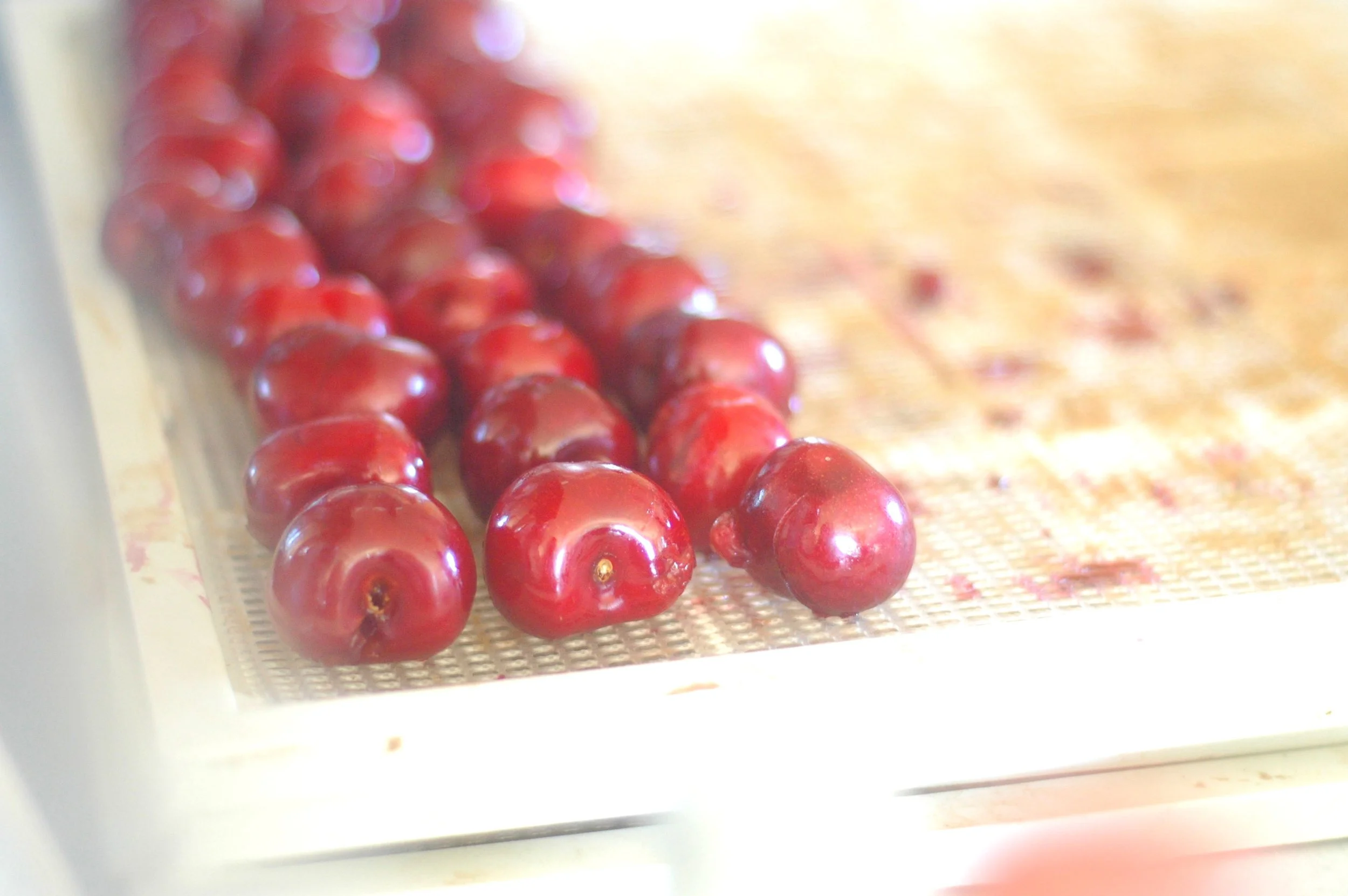 Homemade produce wash & a bounty of cherries!