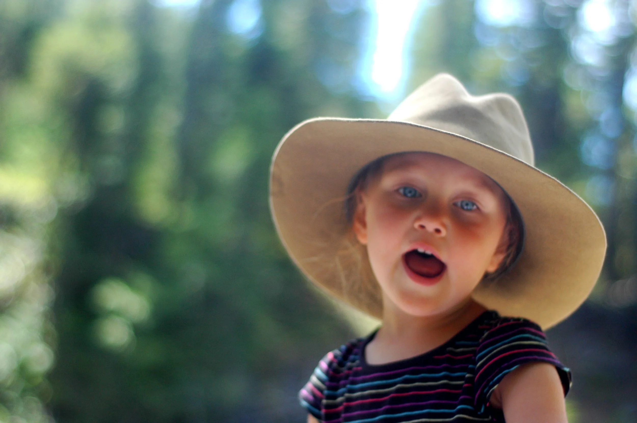 What can I even say?