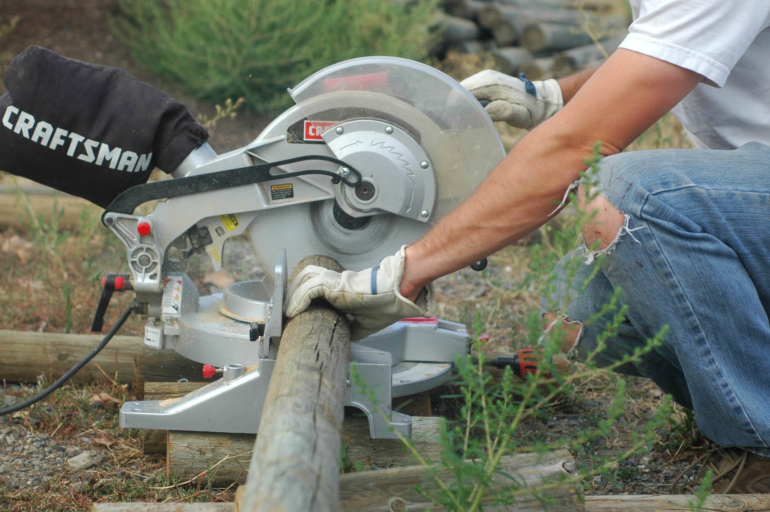 At least the corn is growing.