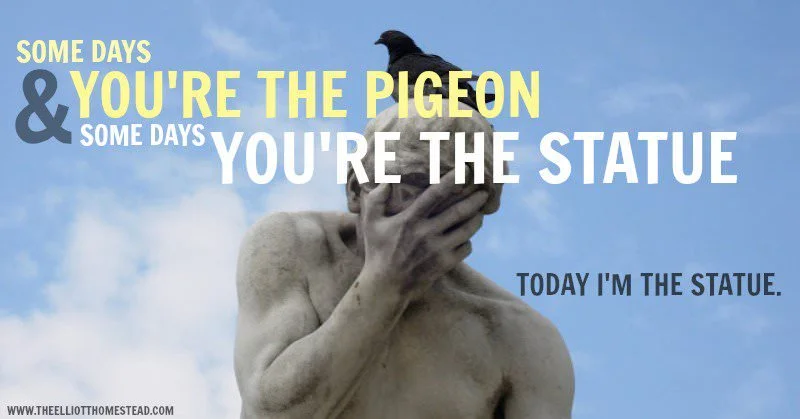 A Statue Day. Here comes the poo...