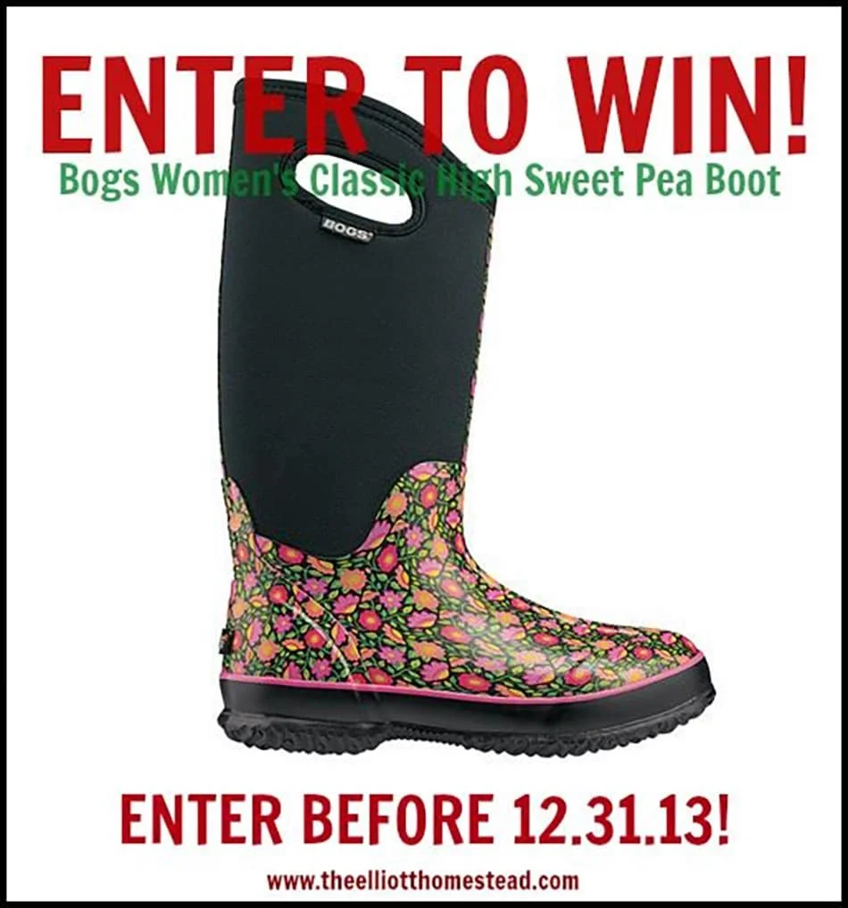 DECEMBER GIVEAWAY: BOGS!