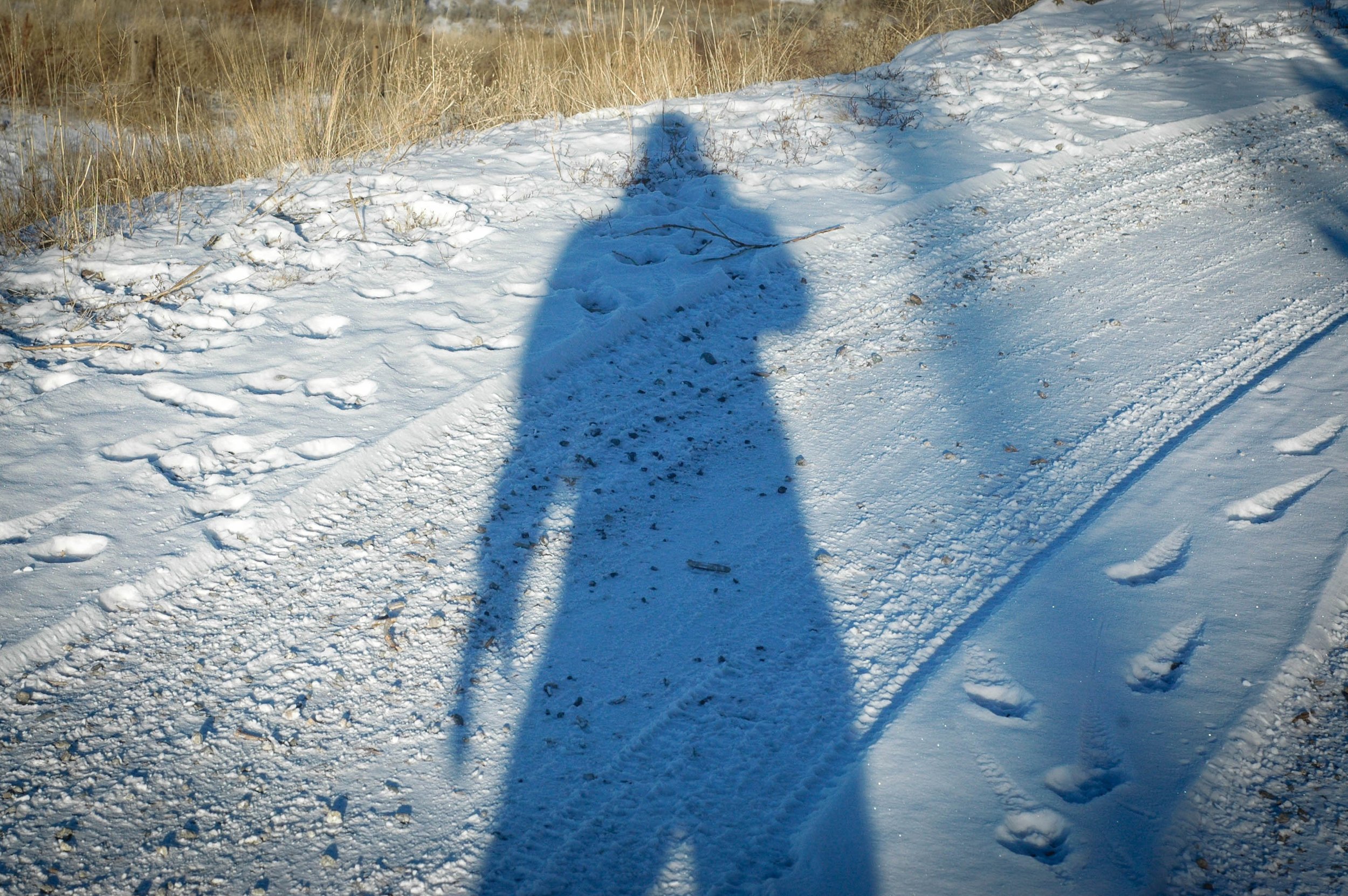 The reality of winter on the farm.