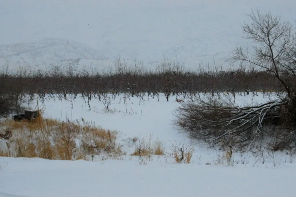 My Bloody Top Ten List!