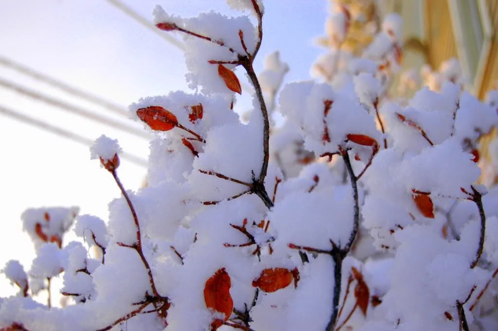 Patience. Easier said than done.