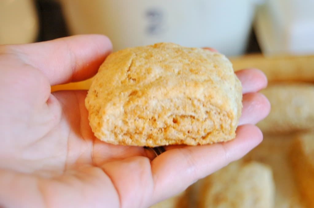 Buttery Whole-Wheat Biscuits. To Blow Your Mind.