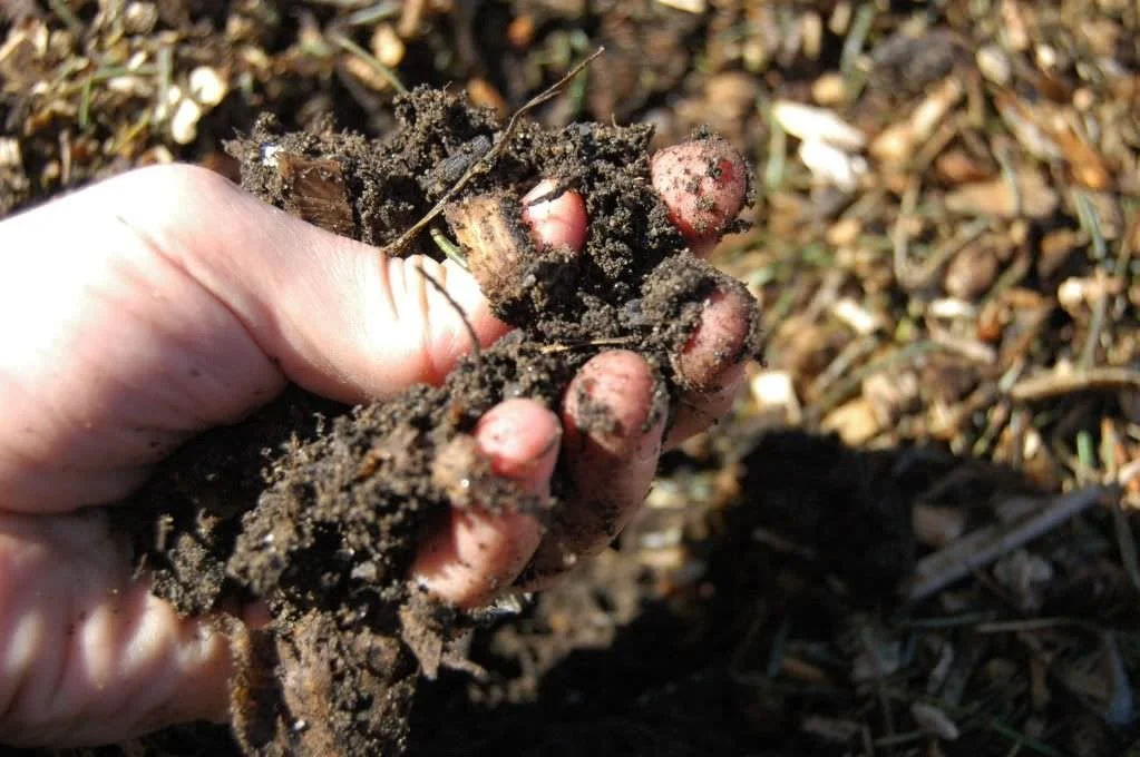 Homestead Happenings.