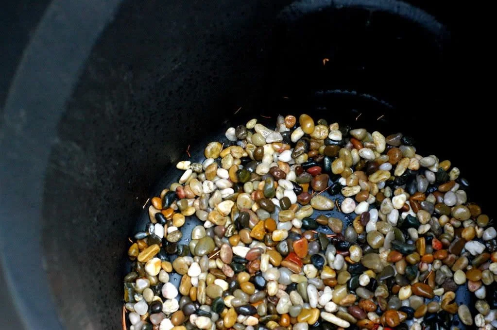 Trash can spuds for the gardening rebel.