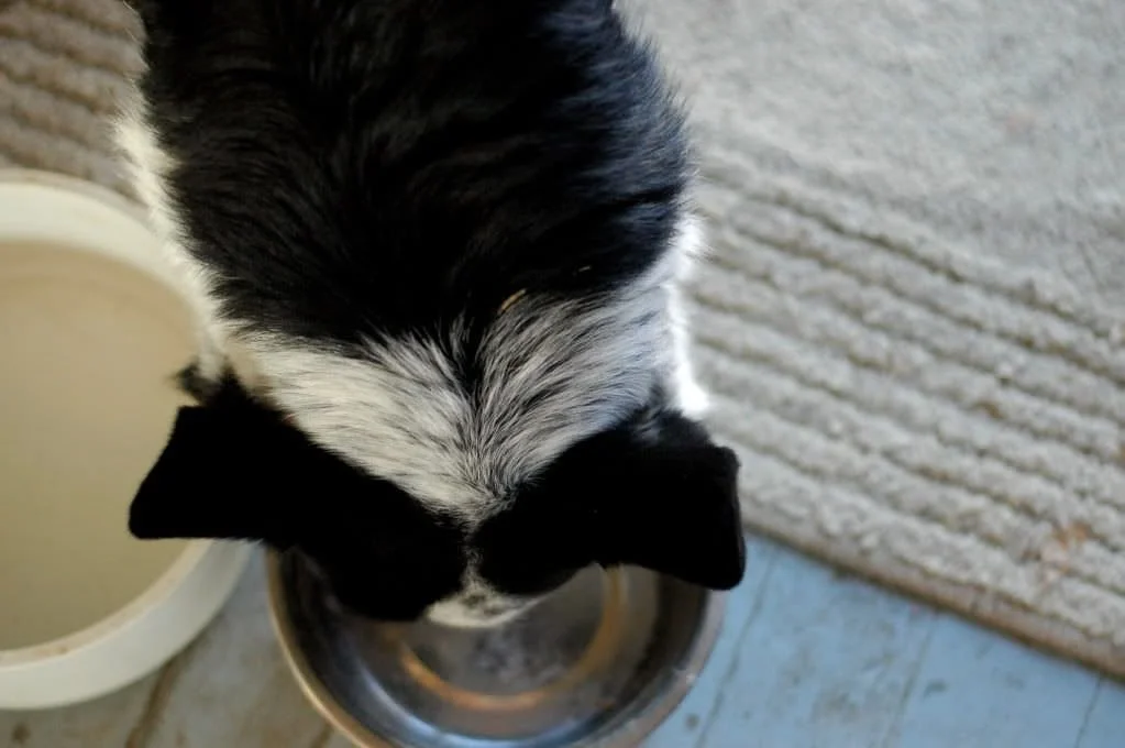 Planes, snacks, and clean underwear.