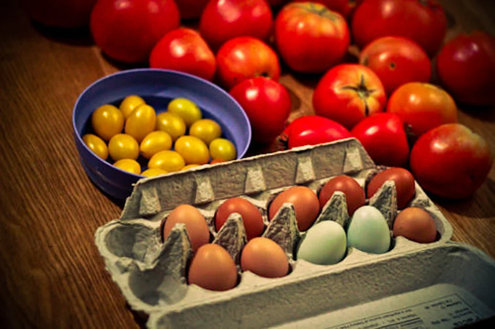 Homesteading. And homemaking.