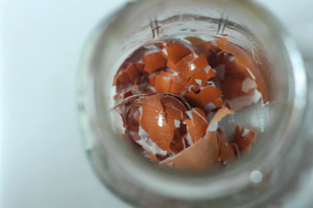 Nourishing egg shell water.