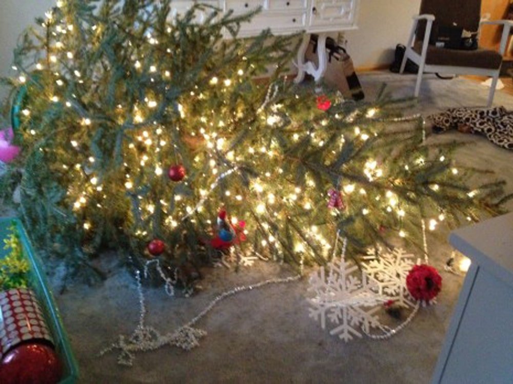 Femina Girls: The Here and The Now.