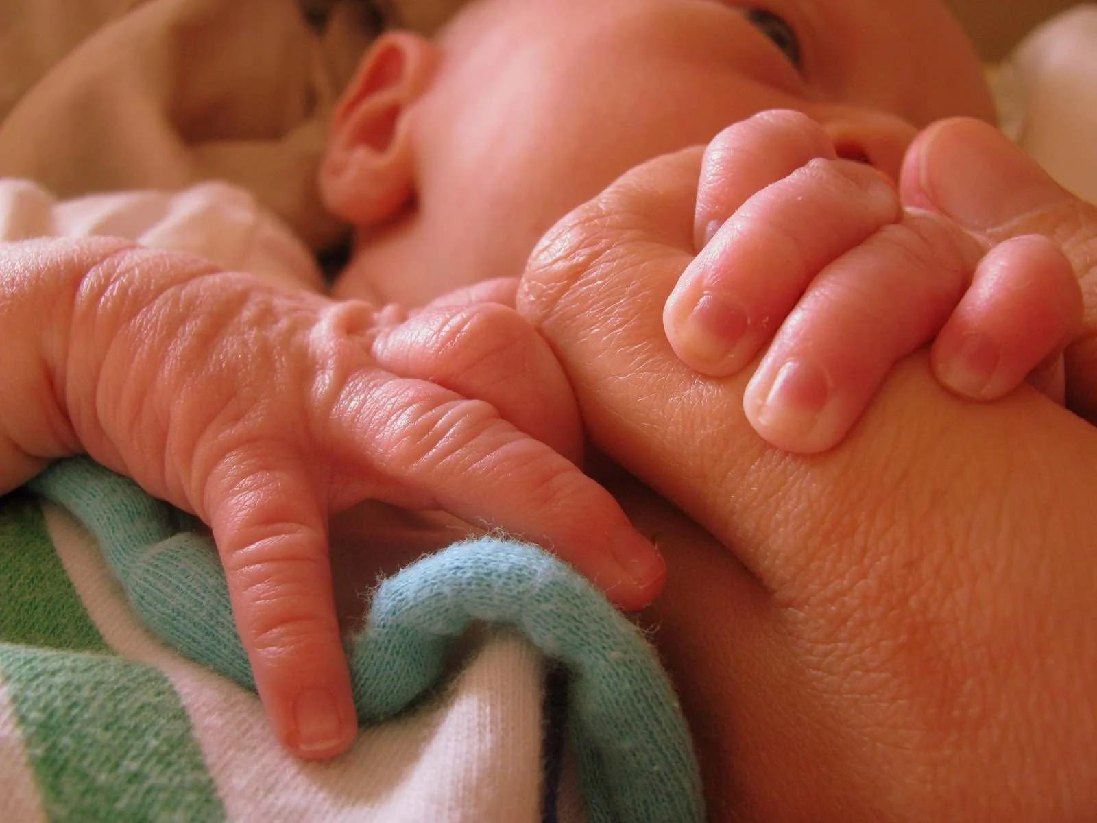 If everything is lost.