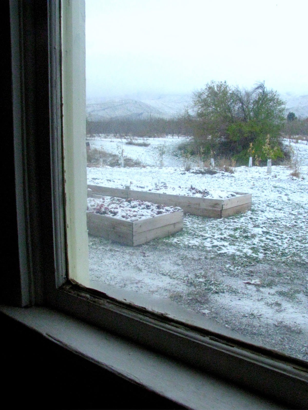 If I am going to waste my life...