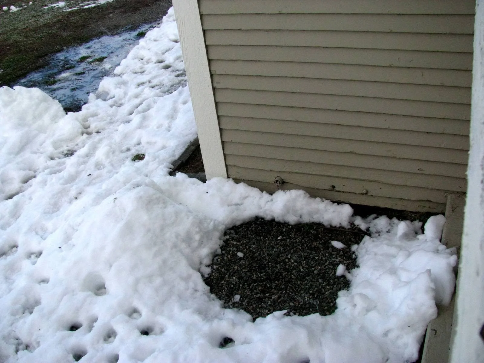 Confused and Trashy.