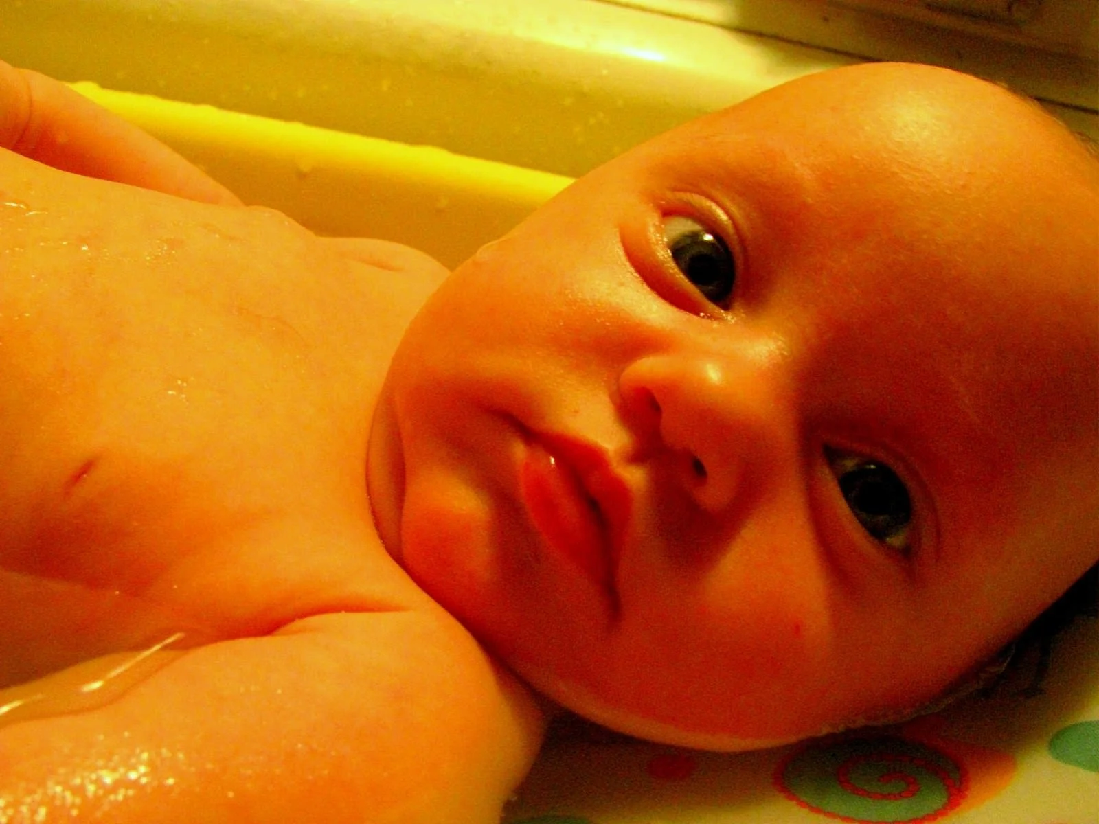 Floaties in the bath water.