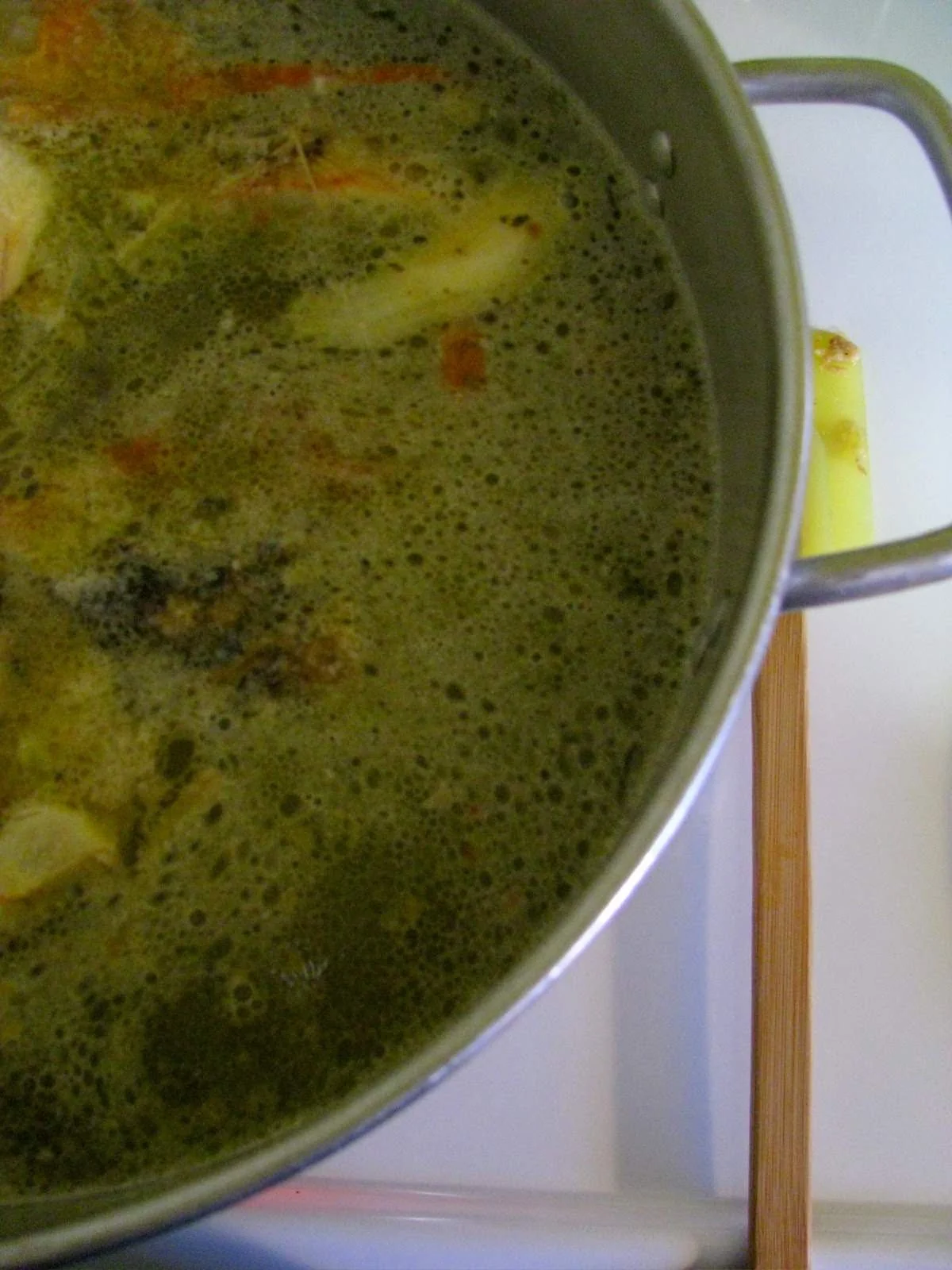 Homemade Chicken Stock - YUM!