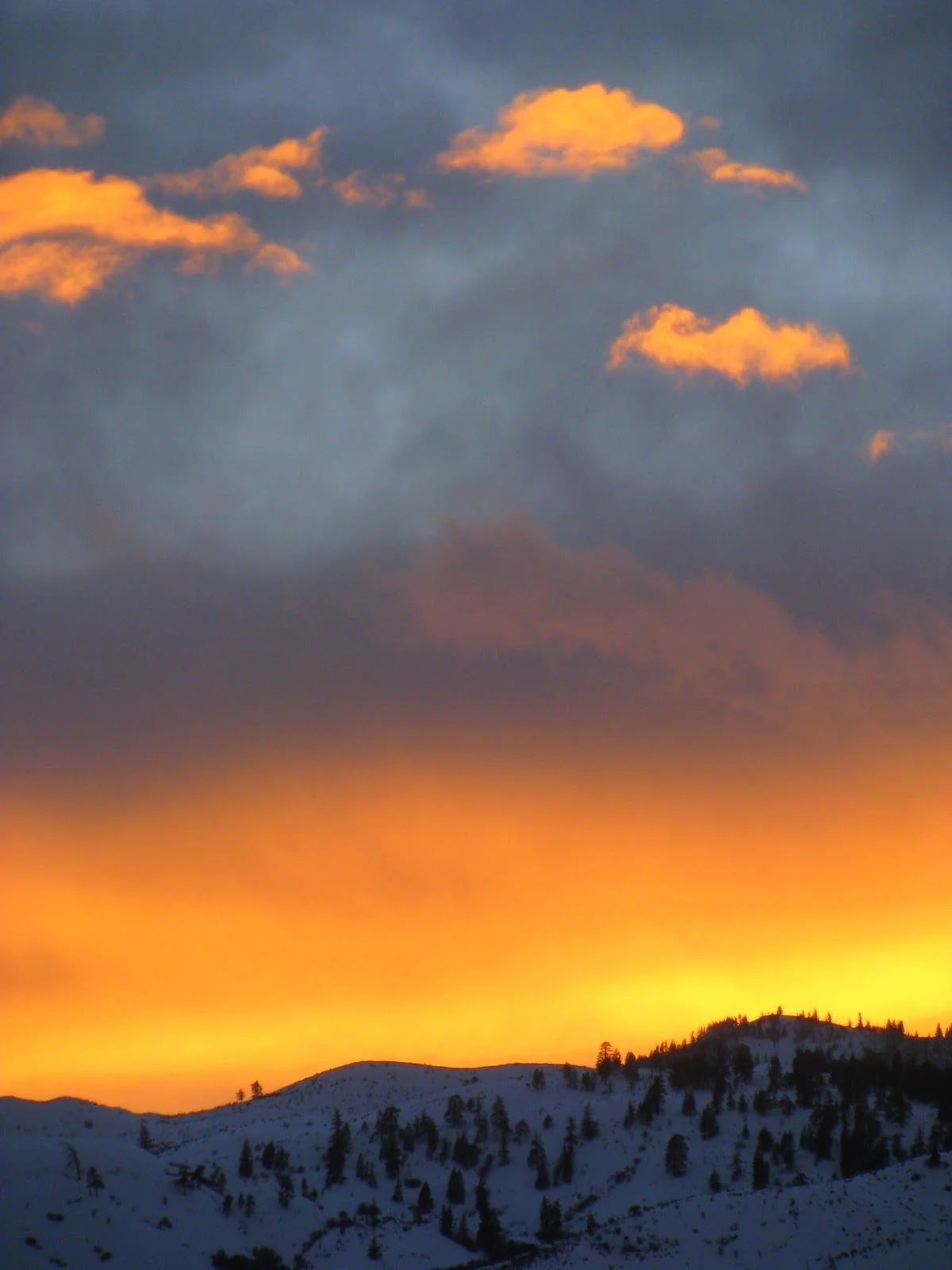 How are ya. Who are ya.