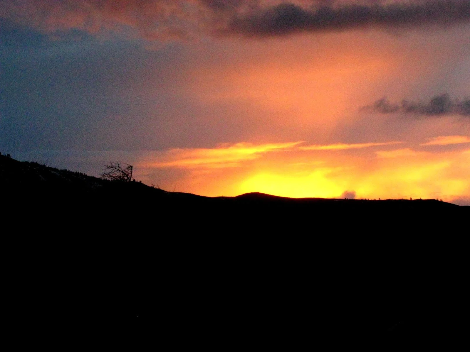 Let the record show.