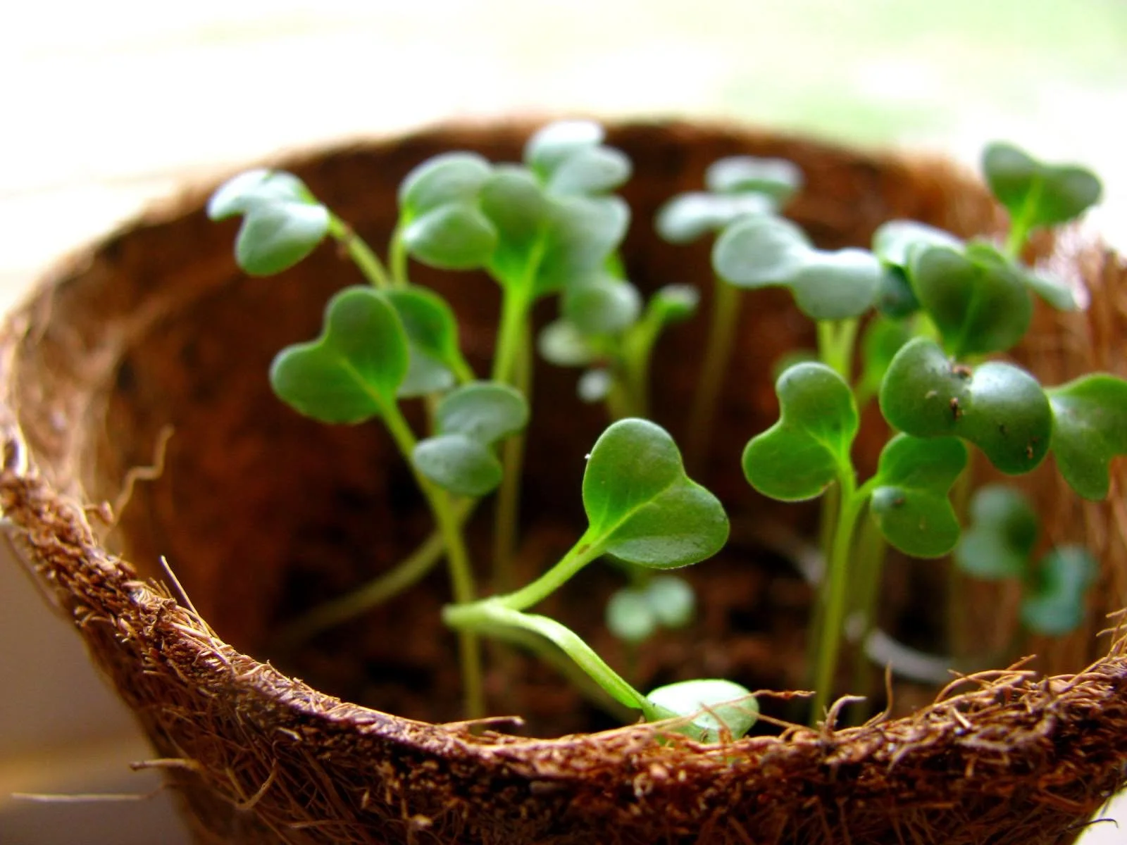 Fresh Starts. And Nasty Shoes.