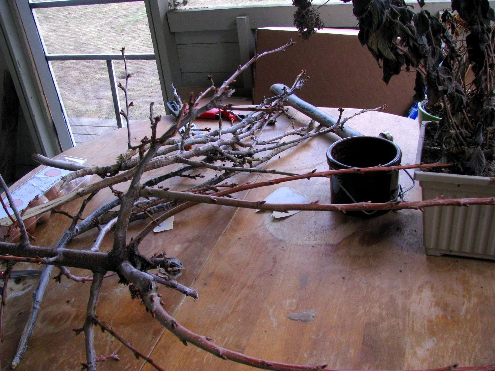 Have mercy on a messy porch.