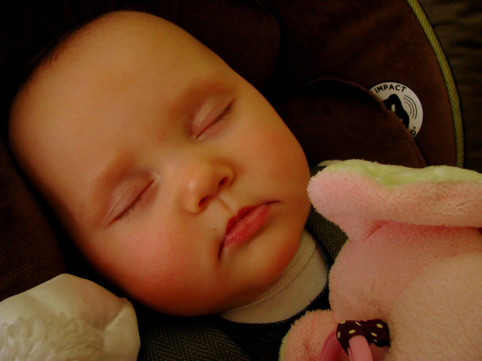 What is my only comfort?