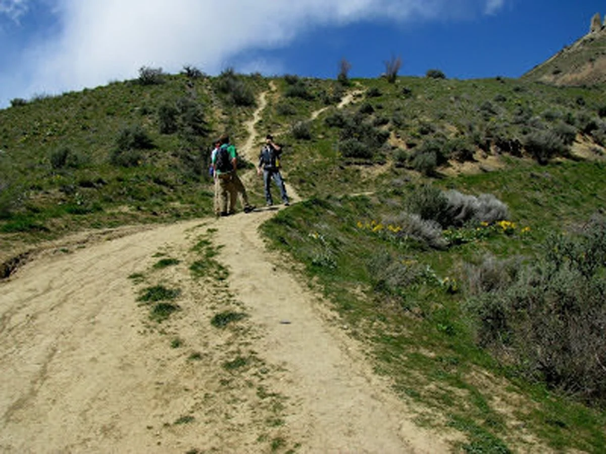 I hiked. I whined. I conquered.