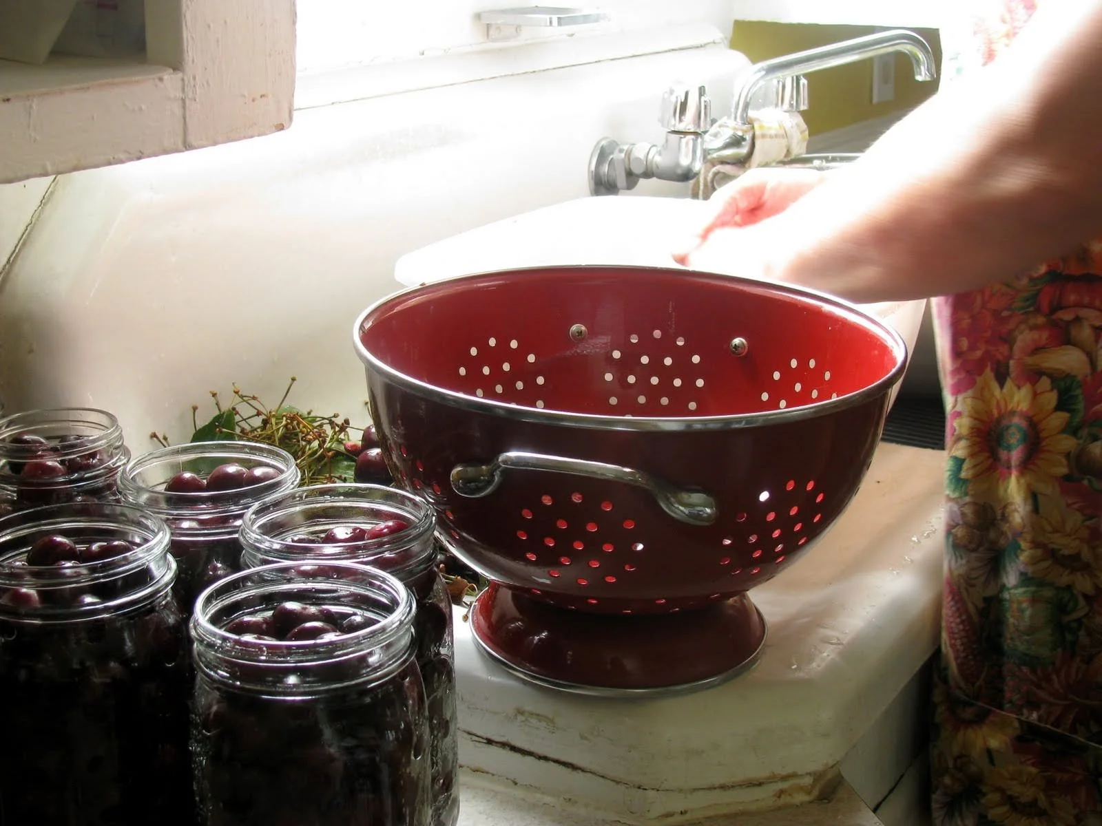 Canned cherries & orchard work.