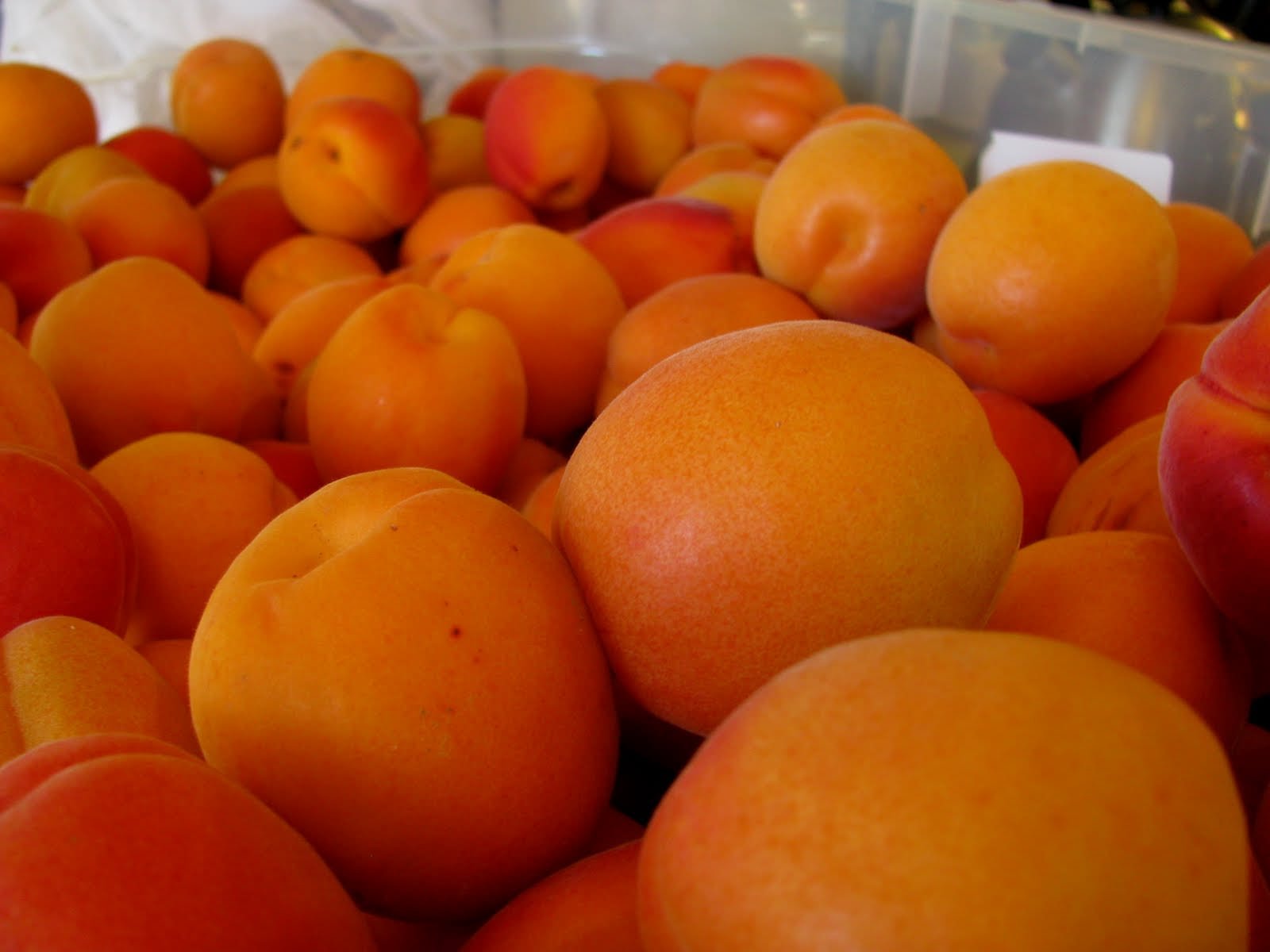 Cots. No syrup. And a pea tomato.