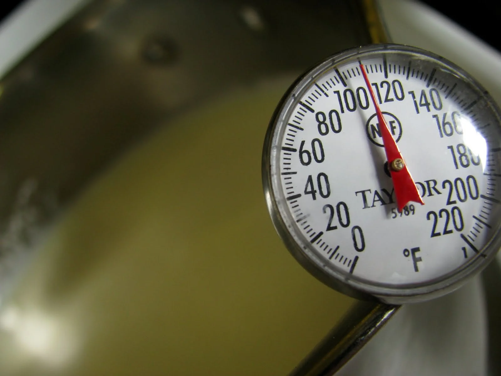 Raw Milk Yogurt. On steroids.