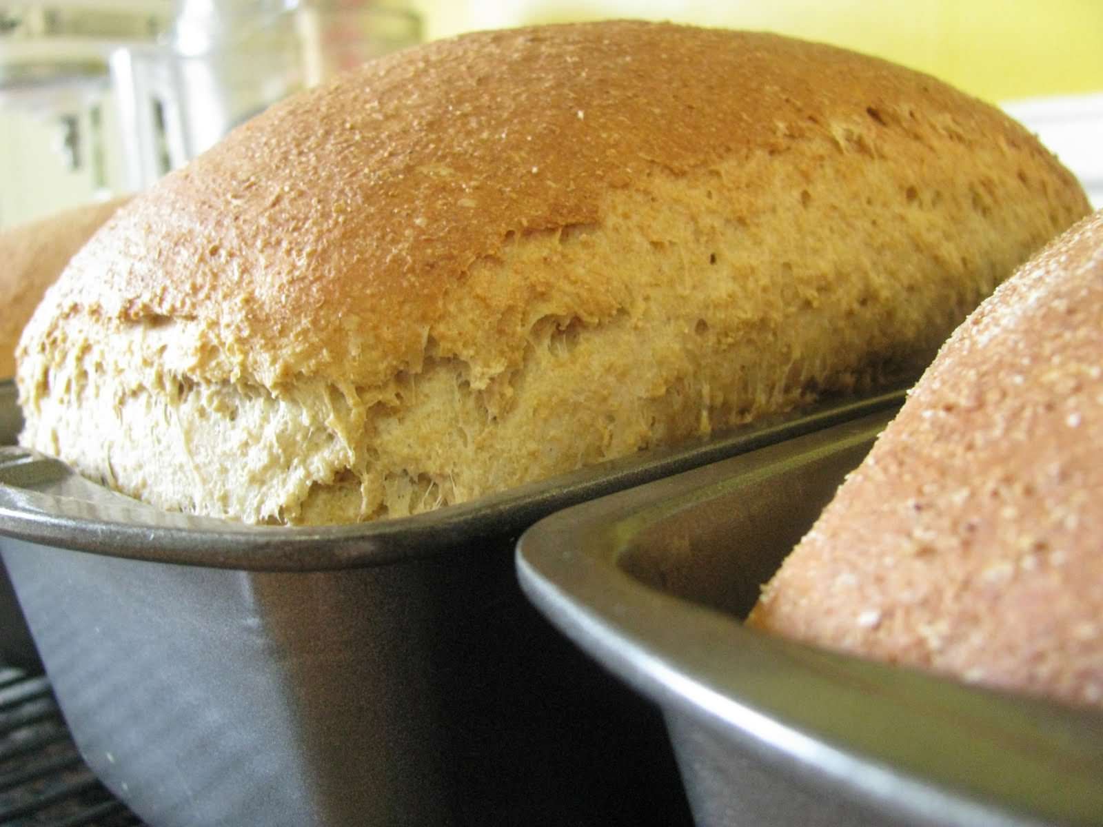 Soaked Whole Wheat Bread.