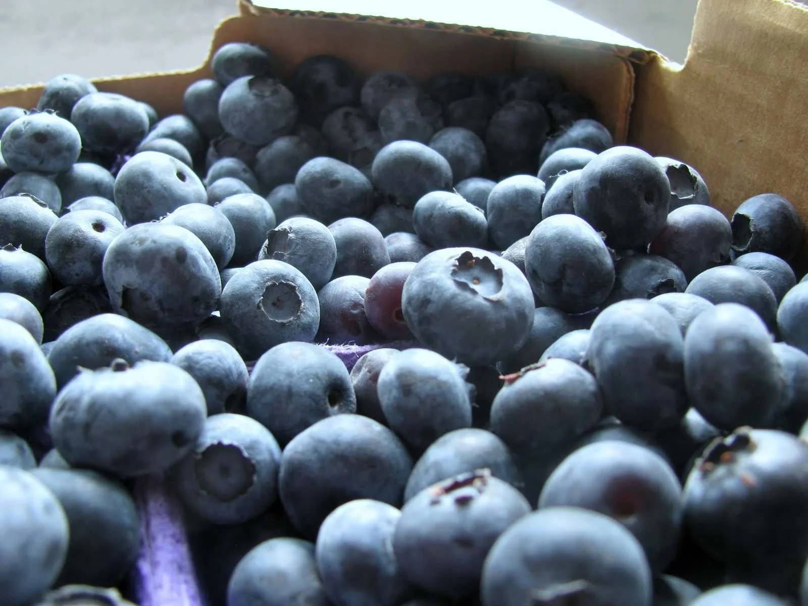 The beginning goods of summer.