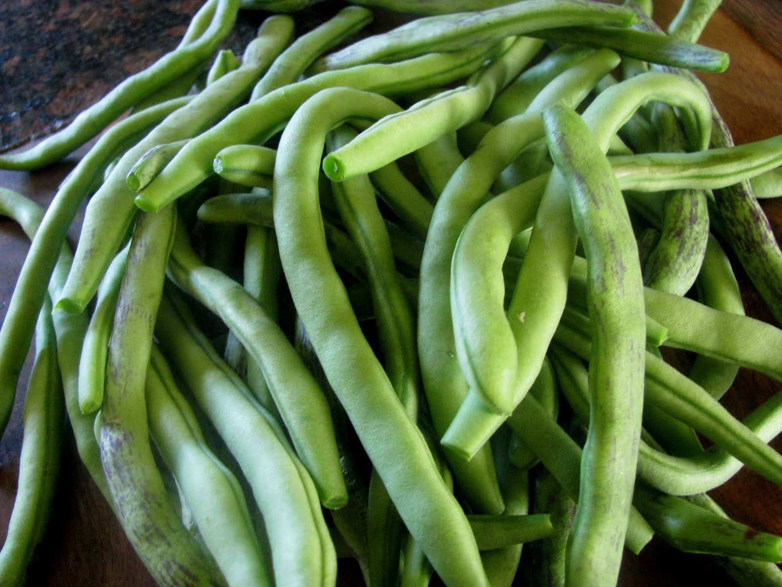 Squirrel-mode and green beans.