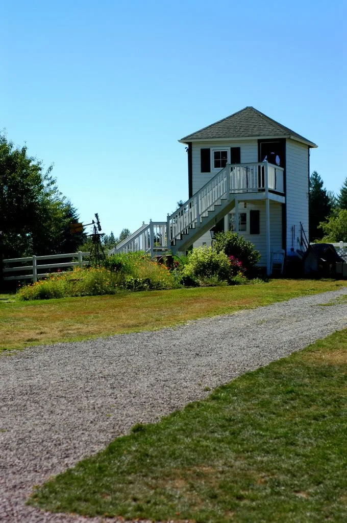 A life book. By, yours truly.