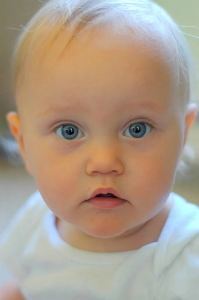 Homemade Baby Goods & Nasty Hormones.