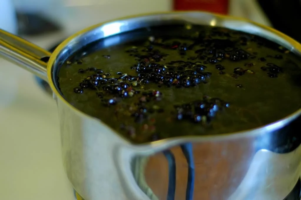 Homemade Elderberry Syrup - To Your Health!