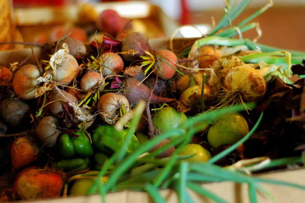 The ant is done storing.