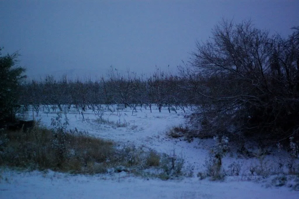 Life at this moment.