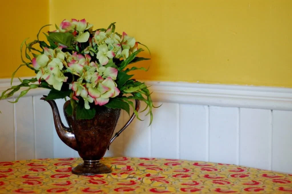 Project feminize progress & a new bra.