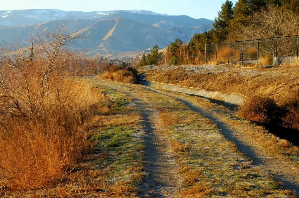 A baby hat & fresh air.