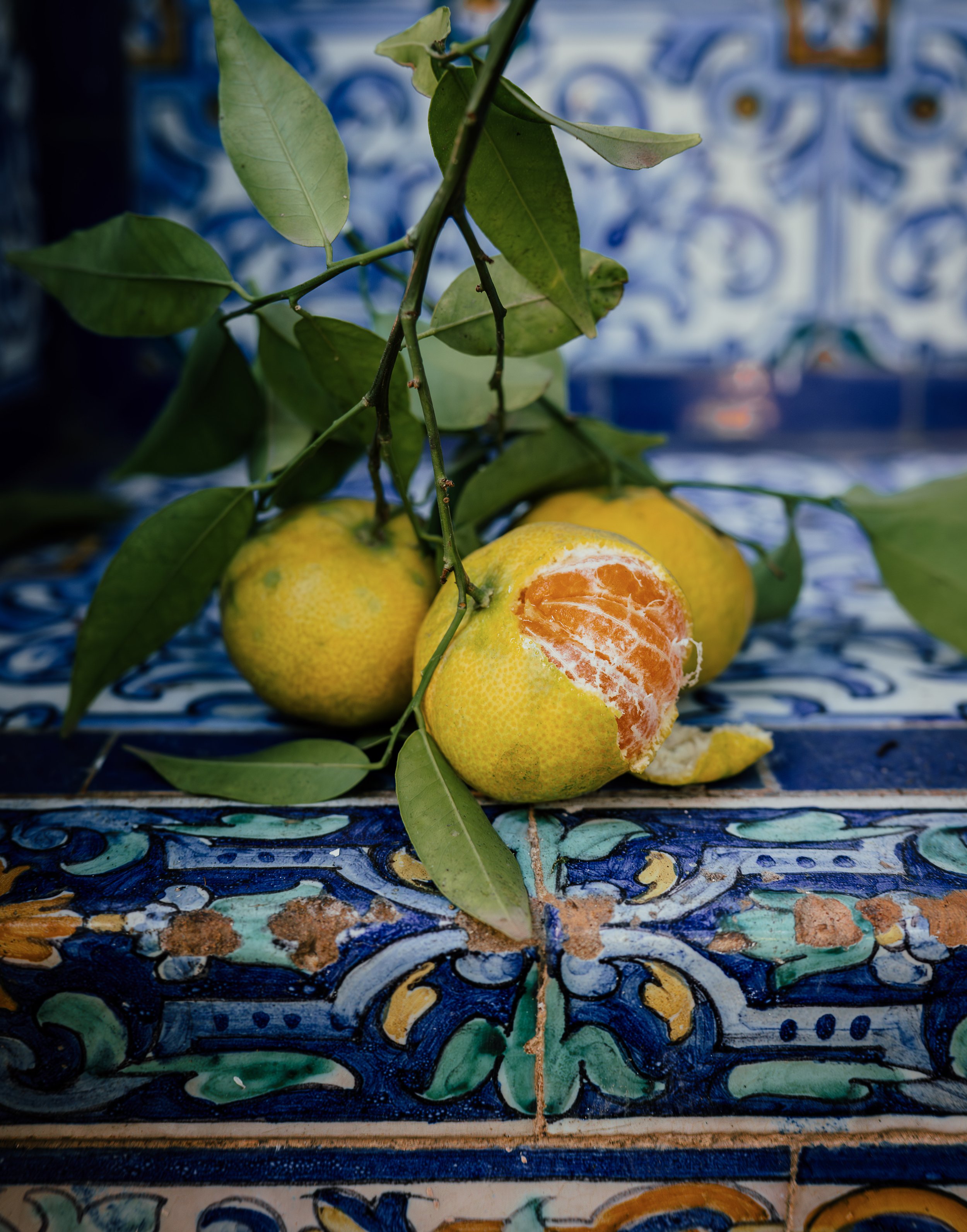 Limone _ December 2024-3.jpg