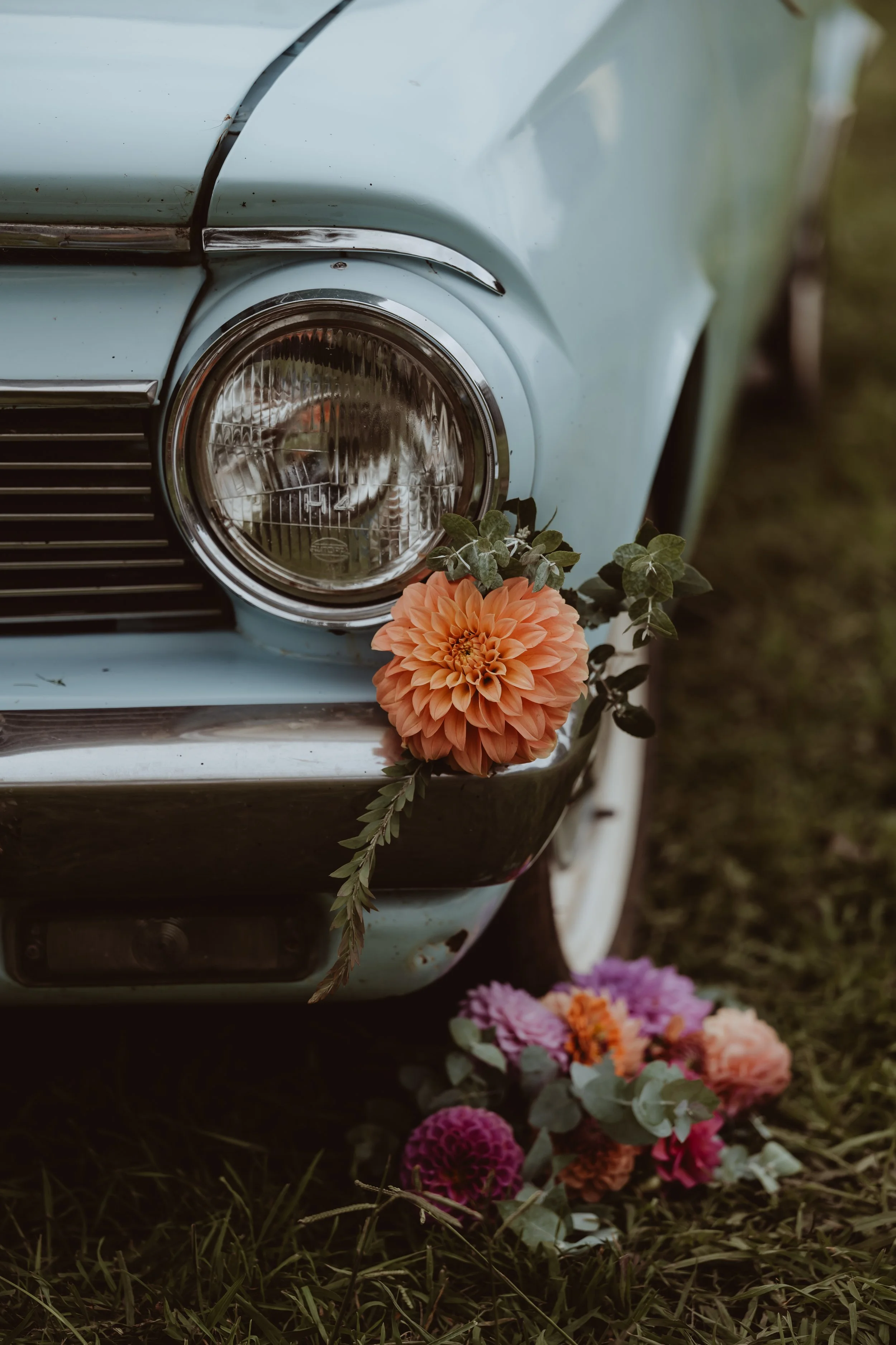 Braidwood Wedding Photographer. Close-up of a vintage light blue car with a round headlight, decorated with peach and pink flowers and green leaves, parked on grass.