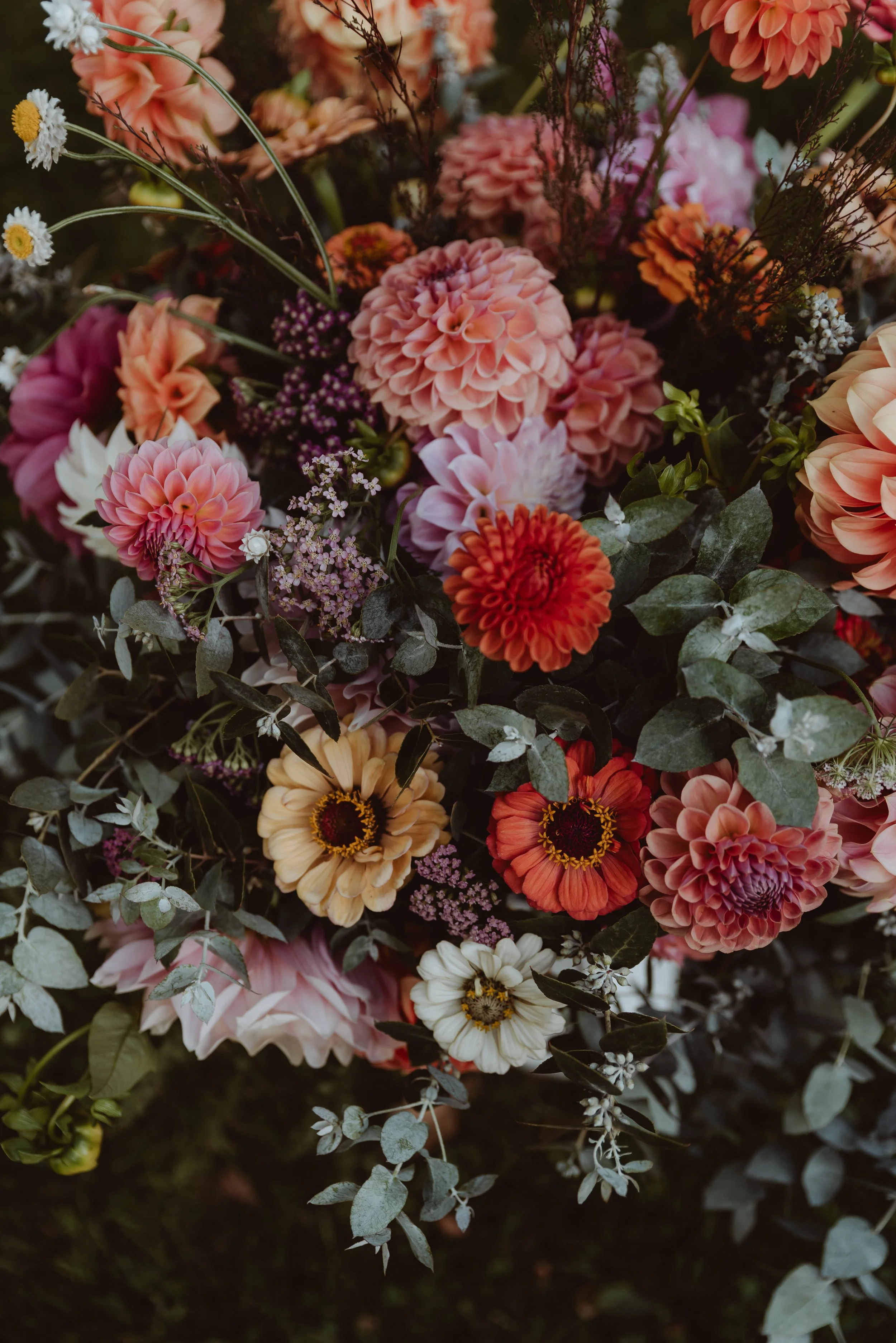 A close-up of a colourful bouquet of various flowers including dahlias, zinnias, and smaller blossoms, with greenery and foliage interspersed, by bushmoon flowers Braidwood.