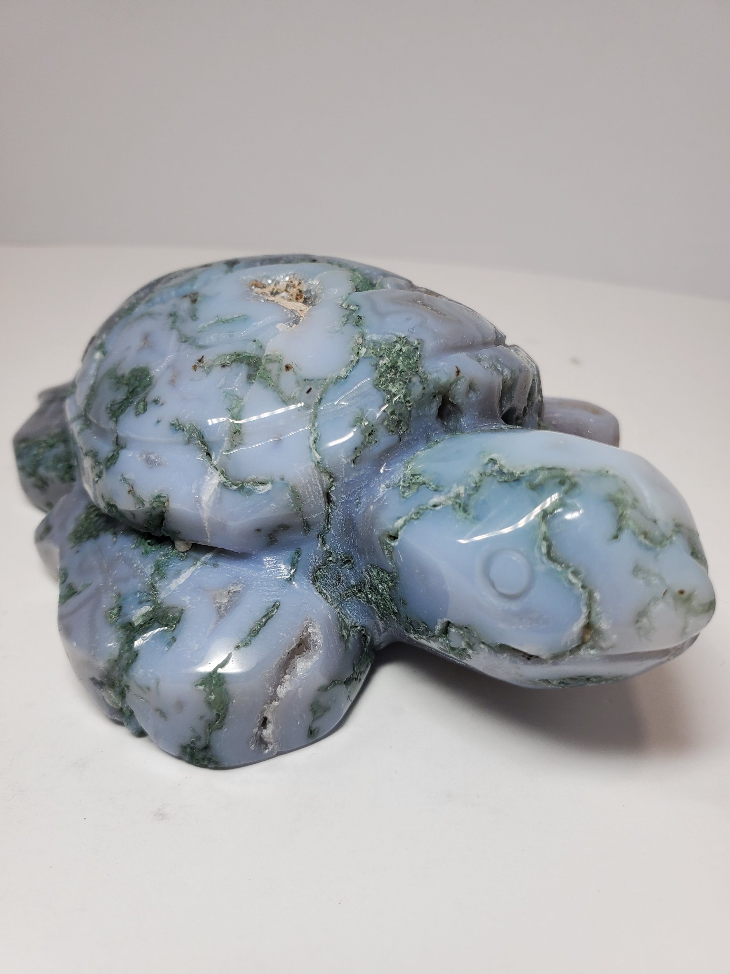 Sea Moss Agate w Druzi Turtle 1lb 2.8oz Left Face.jpg