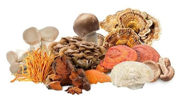 Super 7 Mushroom Blend.jpeg